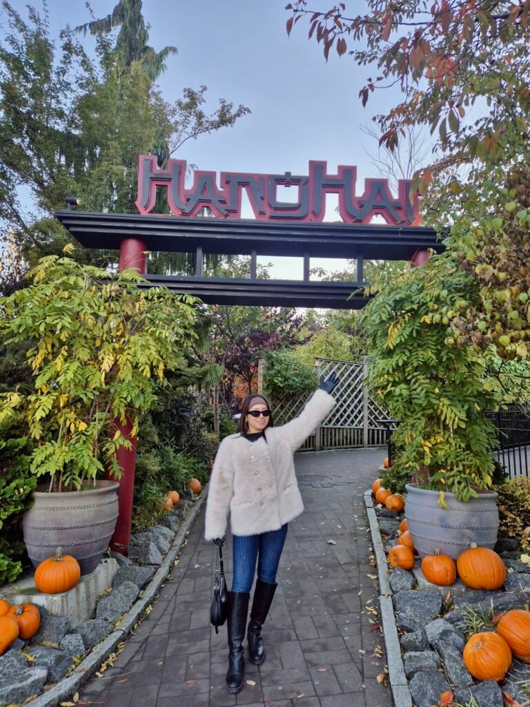 42dfb700-fe78-4d10-8f3a-e0f25e50bd59